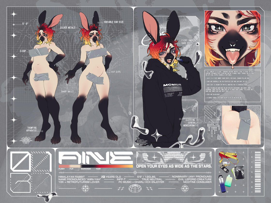aine ref sheet